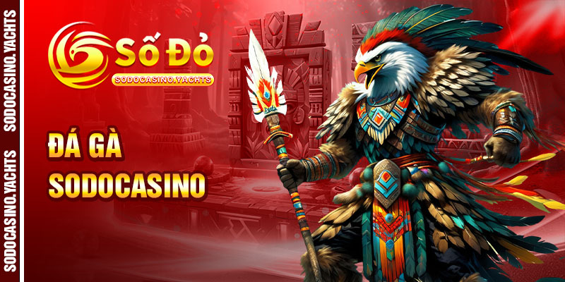 Tổng quan về sảnh đá gà SODO CASINO