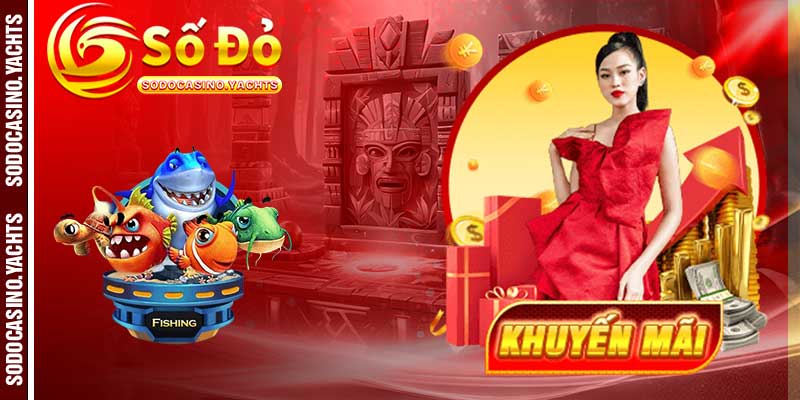 Những Chương Trình Ưu Đãi Đầy Hấp Dẫn