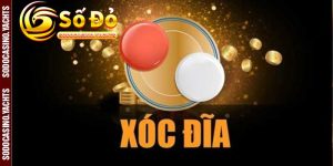 Thông Tin Cơ Bản Về Xóc Đĩa Online Tại SODO CASINO